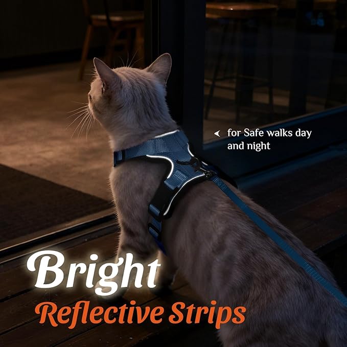 Dooradar Cat Harness and Leash Set, Escape Proof Safe Adjustable Kitten Vest Harnesses for Walking, Easy Control Soft Breathable Mesh Jacket with Reflective Strips for Cats,Light Blue, XS