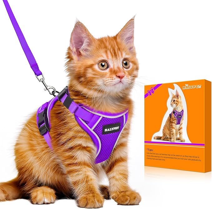 Halypet Cat Harness and Leash Set [MAX Safety 4th-Gen Upgrade] Escape Proof Adjustable Cat Leash Comfortable Soft Vest Easy to Wear Kitten Harness with Reflective Strip for Cats Walking, XS Purple