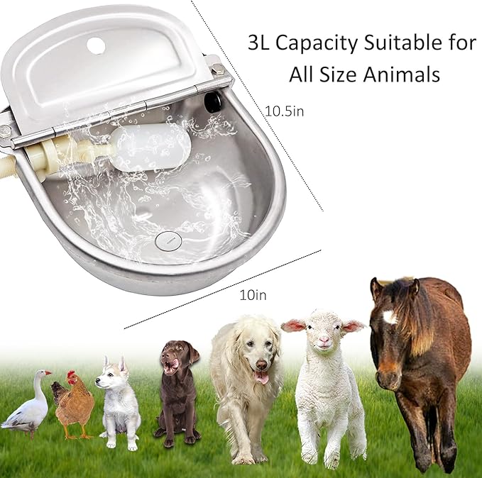 Automatic Water Dispenser for Dog Water Bowl Dispenser Large Size Stainless-Steel Waterer Feeder Self Filling Water Trough for Poultry and Livestock (Stainless Steel, Large)
