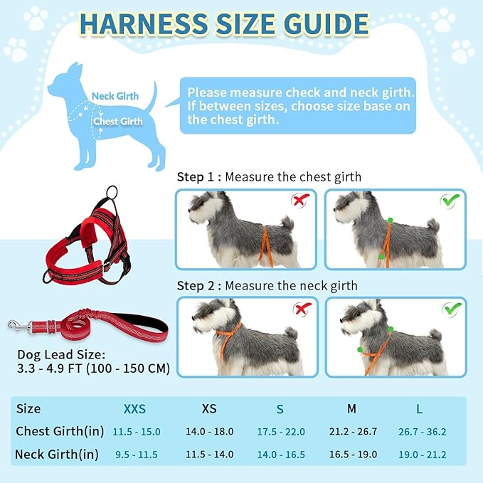 SlowTon No Pull Small Dog Harness and Leash Set, Puppy Soft Vest Harness Neck & Chest Adjustable, Reflective Lightweight Harness & Anti-Twist Pet Lead Combo for Small Medium Dogs (Red, XS)