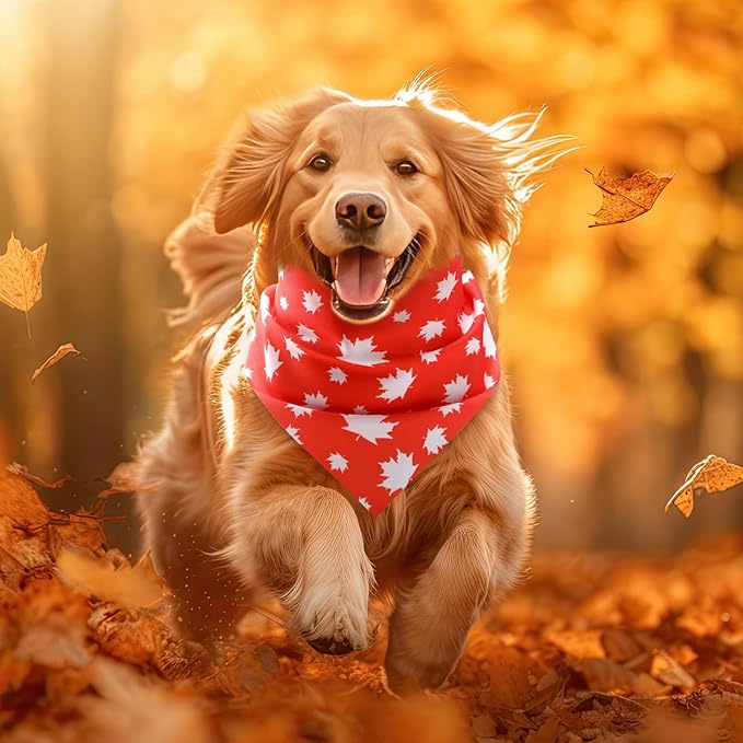 Weewooday 50 Pcs Thanksgiving Fall Dog Bandanas Bulk for Dogs Autumn Soft Bibs Adjustable Triangle Pet Bandana for Small Medium Large Costume(Leaves Pattern, 25.6 x 17.7 x 17.7 Inch)