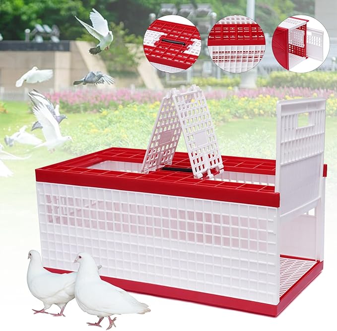 Folding Pigeon Cage with Handle, Portable Plastic Bird Travel Carrier Cage with 3 Doors & Ventilation Grids, Red & White Training Release Nest Box for Racing Pigeons (Holds Up to 14 Birds)