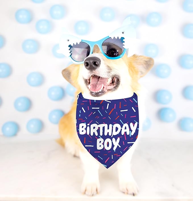 Birthday Boy Dog Bandanas 1 Pack, Blue Birthday Dog Scarfs for Boys, Pet Scarves for Boy HBD Bandanas for Small Medium Large Dogs (Birthday Boy, One Size)
