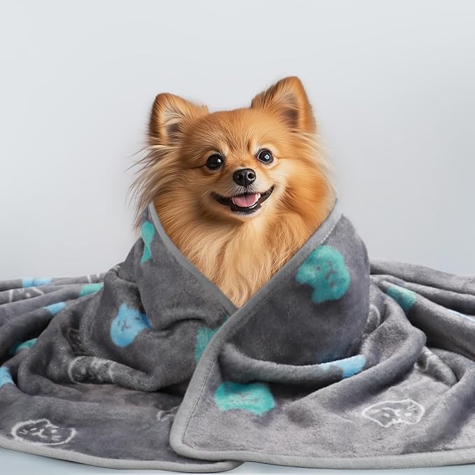 1 Pack 3 Blankets Super Soft Fluffy Premium Cute Cat Pattern Pet Blanket Flannel Throw for Dog Puppy Kitten Blue/Cyan/Grey Small(23x16 inch)