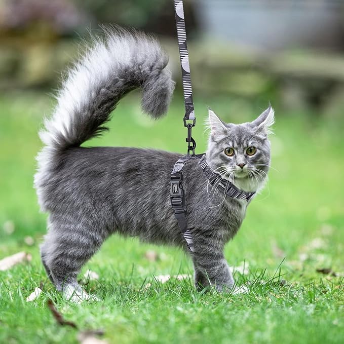 PUPTECK Adjustable Cat Harness and Leash Set Escape Proof Kitten Strap Collar for Walking Travel, Printed Dark Grey