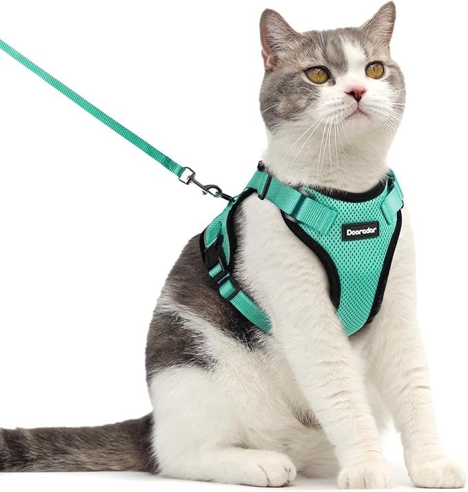 Dooradar Cat Harness and Leash Set, Escape Proof Safe Adjustable Kitten Vest Harnesses for Walking, Easy Control Soft Breathable Mesh Jacket with Reflective Strips for Cats, Green, M
