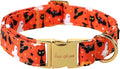 Unique style paws Dog Collar Metal Buckle Collar for Autumn Winter Christmas for Small Medium Large Boys Girls Dogs