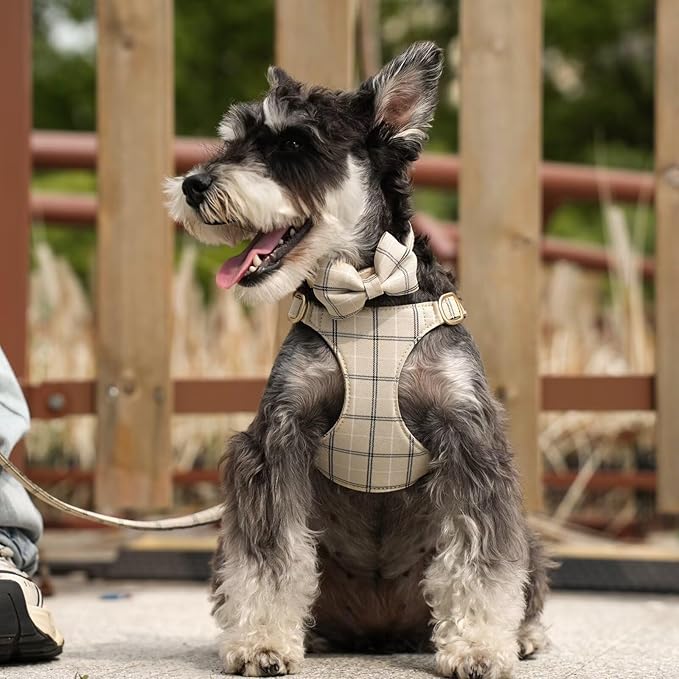 Beirui Cute Small Dog Harness Collar and Leash Set with Bowtie, Soft Adjustable Plaid Puppy Harness for Small Sized Dogs Cats Walks Parties and Photoshoots(Beige,S:Chest 17-23")