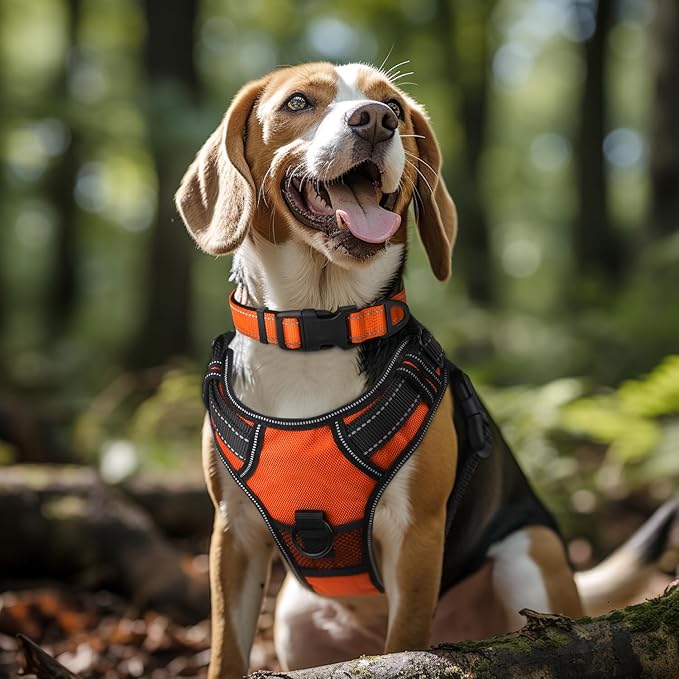 Joytale Reflective Dog Collar,Soft Neoprene Padded Breathable Nylon Pet Collar Adjustable for Extra Large Dogs,Orange,XL