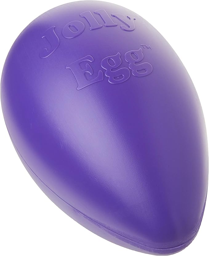 Jolly Pets Jolly Egg Dog Toy, 12 Inches/Large, Purple