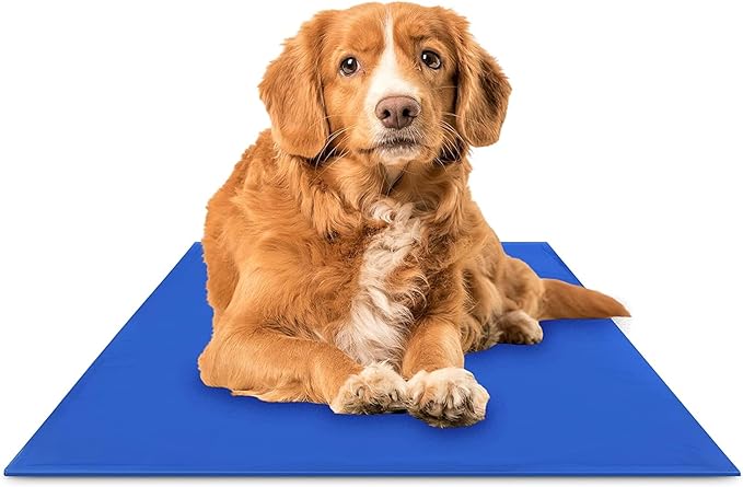 The Green Pet Shop Chillz Gel Mat, Medium - Pressure-Activated Cooling Pad for Pets 0-25 lbs - Non-Toxic, No Water or Refrigeration Needed - Ideal for Home, Travel & Crates