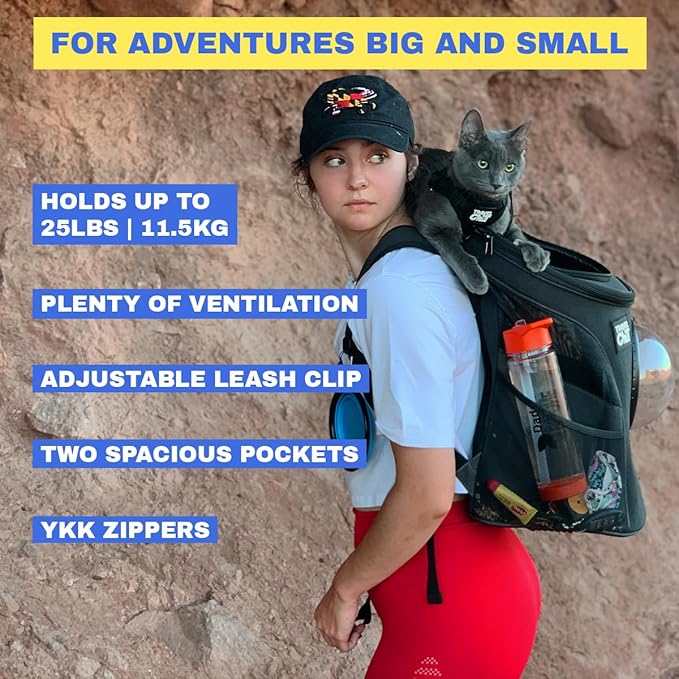 Fat Cat Backpack Carrier - Airline Approved Cat Carrier with Space Capsule Bubble for for Small Cats, Kitten - Premium Charcoal Cat Carrier Backpack for Outdoor, Travel, Hiking, Pet Supplies