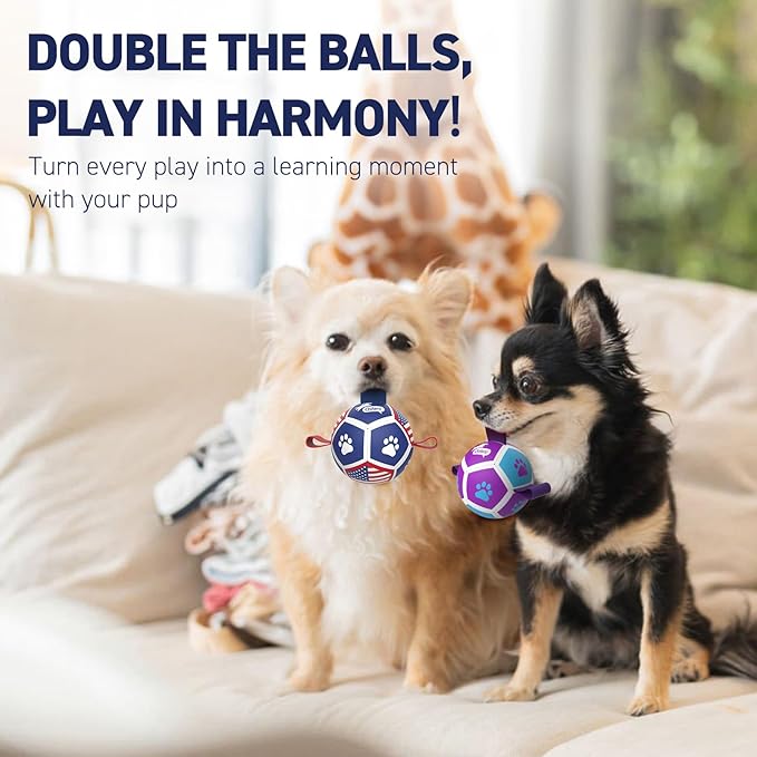 QDAN 2 Pack Small Dog Toys, Puppy Balls, Dog Balls with Straps for Small Breed, Soccer Ball for Dogs, Puppy Toys, Dog Birthday Gift (3.5 Inch)