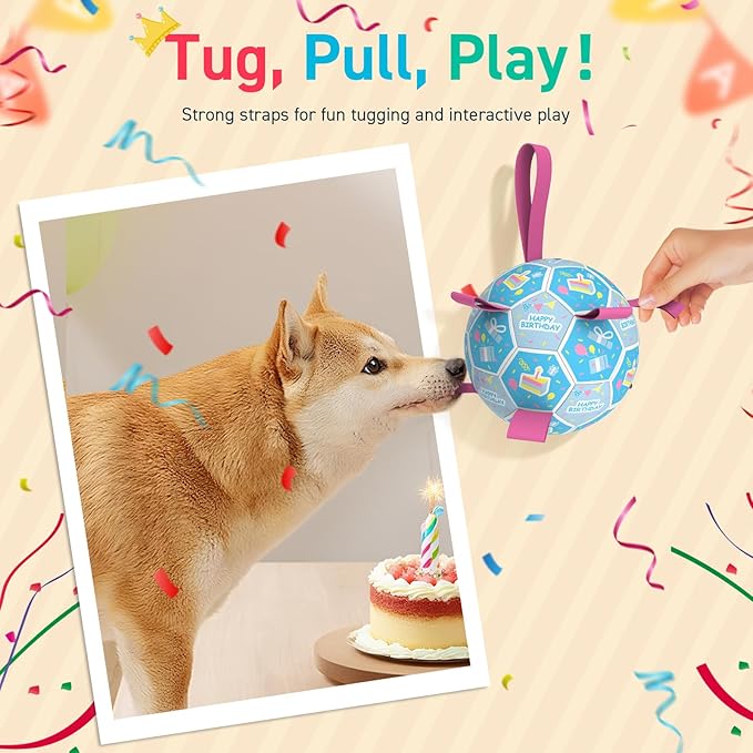 QDAN Dog Birthday Toys, Soccer Ball for Dogs with Straps, Dog Ball Toy, Puppy Birthday Gifts, Durable Herding Balls for Medium Large Dogs (8 inch)