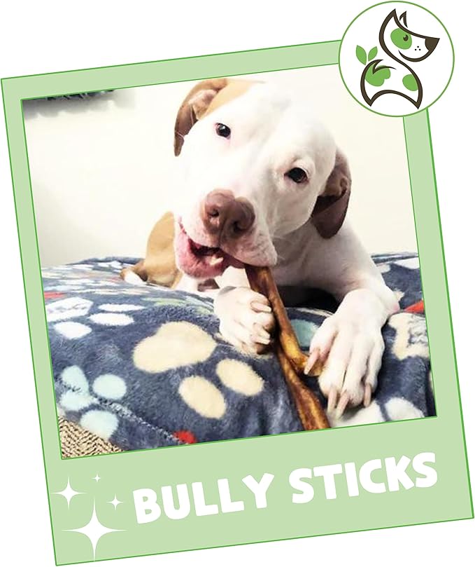 Nature Gnaws Bully Sticks for Dogs 5-6" (1Lb) - Mixed Thickness - Long Lasting for Aggressive Chewers and Large Dogs - Natural Beef Dog Chew Bones