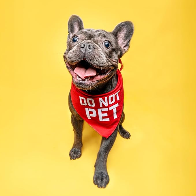 Do Not Pet Dog Bandana (Orange, XS 157)