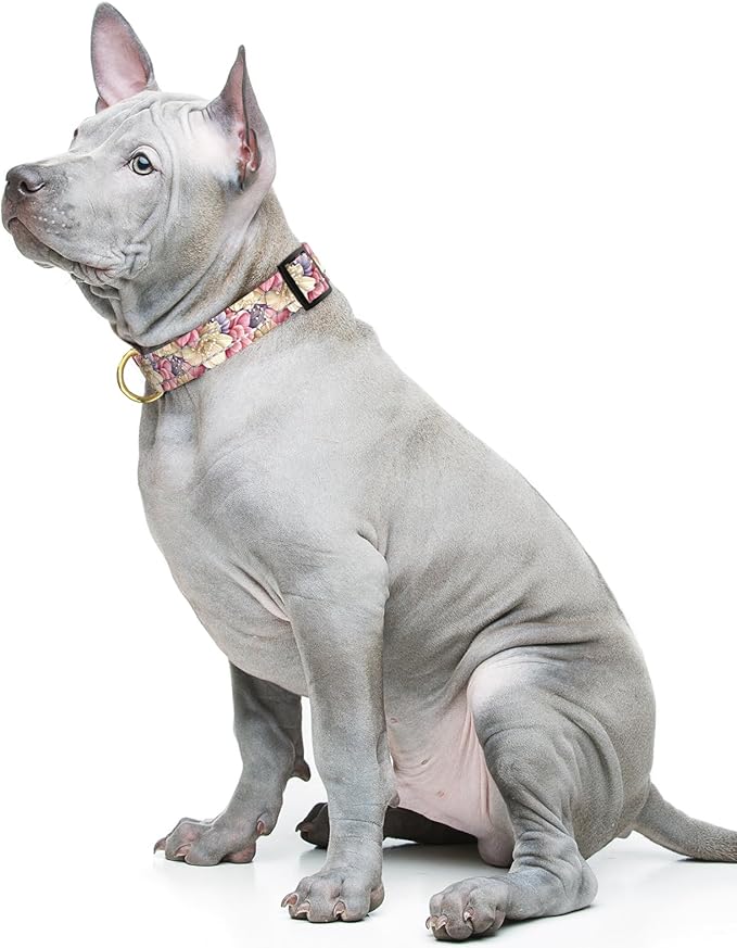 Reflective Dog Collar for Medium Dogs, Cute Flower Theme Adjustable Heavy-Duty Nylon Puppy Collar for Boy and Girl Female, Soft Pet Accessories with Quick Release Buckle, Colorful Floral