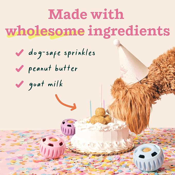 WOOF Pupsicle Birthday Pops - Healthy Dog Treats - Pre-Made Pupsicle Refills- Wholesome Ingredients - Naturally Sweet - Cake-Flavored Birthday Treat for Dogs - Large
