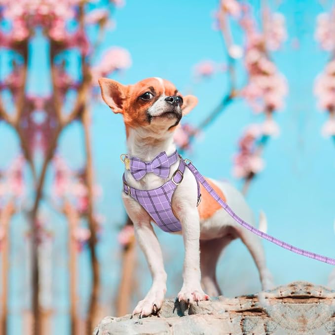 Beirui Cute Extra Small Dog Harness Collar and Leash Set with Bowtie, Soft Adjustable Plaid Puppy Harness for Small Sized Dogs Cats Walks Parties and Photoshoots(Purple,XXS:Chest 12-14")