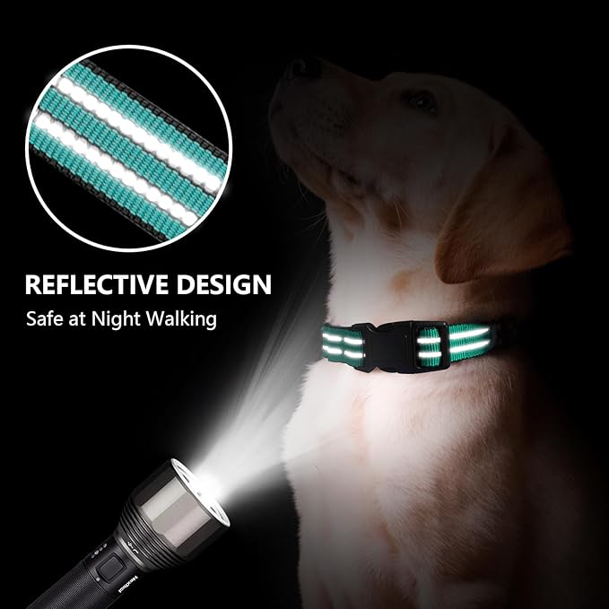 Hikiko Martingale Dog Collars Reflective Nylon Dog Collar with Quick Release Buckle Adjustable Training No Slip Dog Collar (Medium, Turquoise)