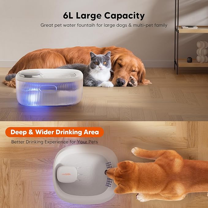 WOPET Dog Water Fountain for Large Dogs, 6L/205oz/1.7Gal Dog Water Bowl Dispenser, Automatic Cat and Pet Water Fountain with 6 Filters&Visual Water Level for Large Medium Small Breed Dogs Pets