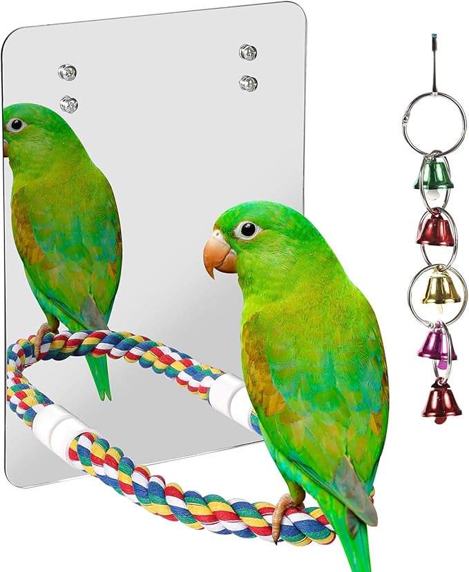 10.6" Bird Mirror with Rope Perch Bird Toys Swing, Comfy Perch for Greys Amazons Parakeet Cockatiel Conure Lovebirds Finch Canaries