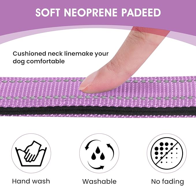 Reflective Dog Collar Padded with Soft Neoprene Breathable Quick Release Basic Dog Collars for Puppy Small Dogs Lavender