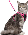 rabbitgoo Cat Harness and Leash Set, Escape Proof Soft Adjustable Vest Harnesses for Outdoor Walking, Easy Control Breathable Kitten Jacket with Reflective Strips, Black & Rose Pink, M