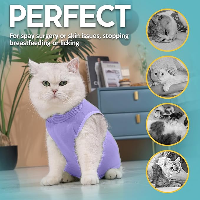 Avont Cat Recovery Suit - Kitten Onesie for Cats After Surgery, Cone of Shame Alternative Surgical Spay Suit for Female Cat, Post-Surgery or Skin Diseases Protection -Purple(M)