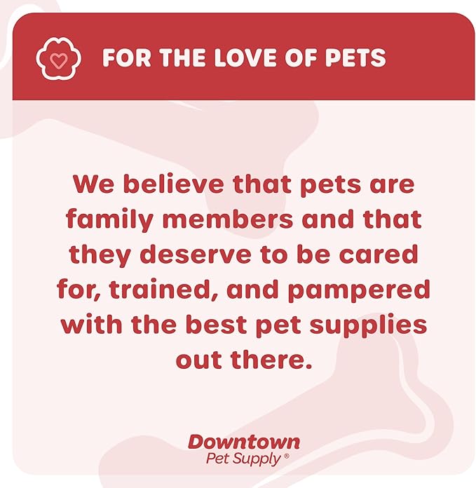 Downtown Pet Supply Step-in Dog Harness – No Pull, Adjustable Padded Mesh with Reflective Trim, Secure Buckle Strap – Comfortable & Breathable Small Dog Harness, Large, Dinosaur