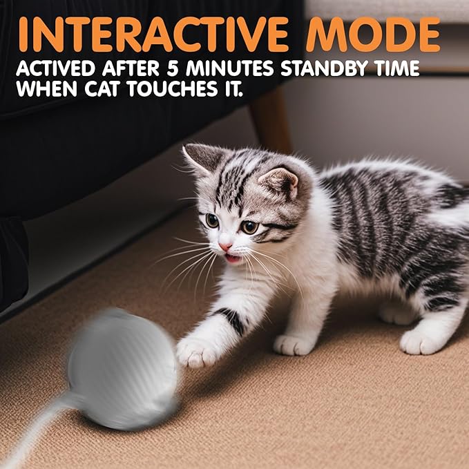Rocfish Durable Interactive Cat Toys for Indoor Cats, Smart Automatic Cat Chase Ball Toy, Upgraded Speedy Tail Kitten Toy for Bored Indoor Adult Pets (Grey)