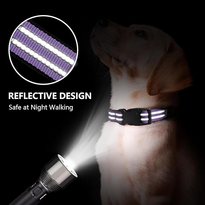 Hikiko Martingale Dog Collars Reflective Nylon Dog Collar with Quick Release Buckle Adjustable Training No Slip Dog Collar (Small, Lavender)