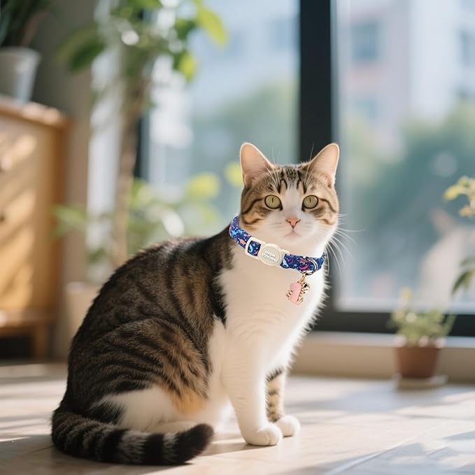 Unique style paws 2 Pack Spring Summer Kitten Collar Breakaway with Bell&Pendant, Adjustable Safety Blue Lemon Dinosaur Cat Cotton Collar for Girl Boy Cat and Small Pet
