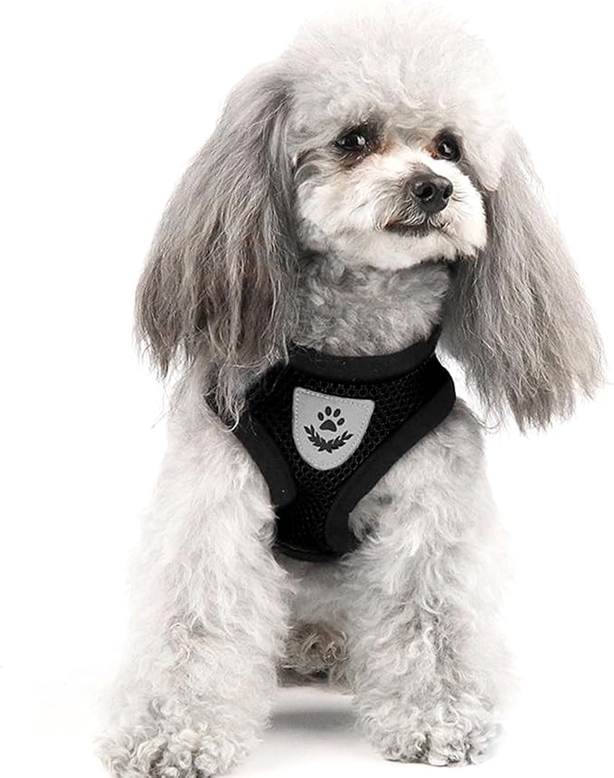 shudyear Summer cat Chest Harness and Leash, Anti-Escape Adjustable Soft mesh cat Leash and Chest Harness Set for All Types of Cats cat Vests (Size S,Black)
