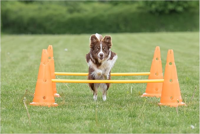 TRIXIE Dog Agility Hurdle Cone Set – Dog Agility Set with Height Adjustable Crossbar for Beginners & Advanced, Dog Agility Equipment for Dog Obstacle Courses – 6 x Cones, 3 x Agility Rods