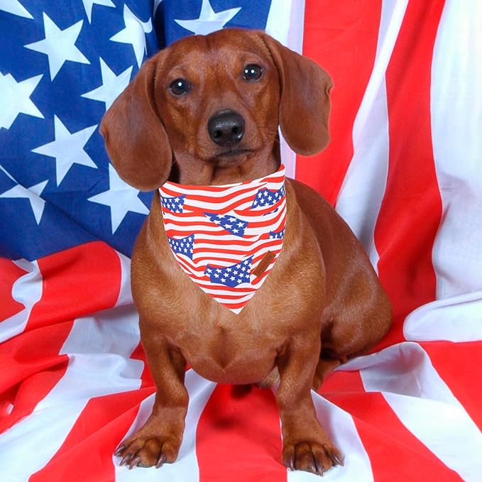 PTDECOR American Flag Dog Bandana 4th of July Dog Puppy Scarf Reversible Red Blue Patriotic Bandanas for Small Dogs Pets (Blue & Red, Small)