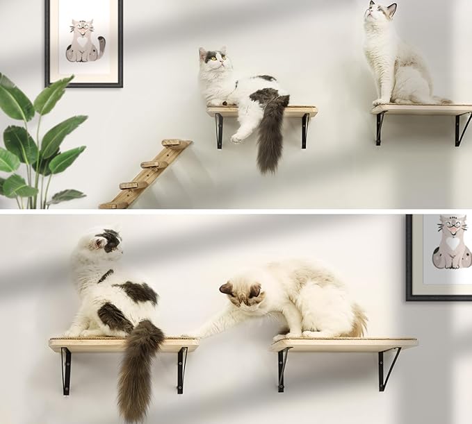 Cat Floating Wall Shelf with Scratching Mat, 1PC 9.7X16.6 Inch Large 1 Inch Thick Wood Cat Window Perches Hanging Shelves Wall Mounted Beds for Sleeping, Playing, Climbing, Support to 30 LBS