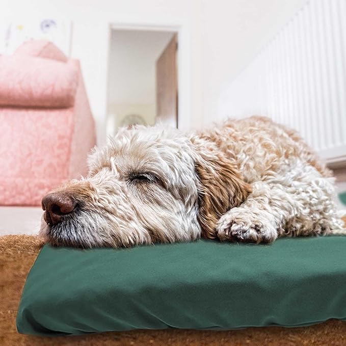 Dog Bed Cover Waterproof Replacement Machine Washable Covers for Dog Bed Heavy Duty Scratch Resistant Mattress Protector Pet Bed 54x44 Inch Dark Green Cover Only