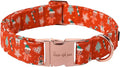 Unique style paws Dog Collar Metal Buckle Collar for Winter Christmas Gingerbread for Small Medium Large Boys Girls Dogs