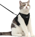 Dooradar Cat Harness and Leash Set, Escape Proof Safe Adjustable Kitten Vest Harnesses for Walking, Easy Control Soft Breathable Mesh Jacket with Reflective Strips for Cats, Black, M