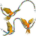 Weewooday 2 Pcs Bird Rope Perches Climbing Rope Bird Cage Accessories for Parrots, Parakeets, Cockatiels, Conures(31.5 Inch)