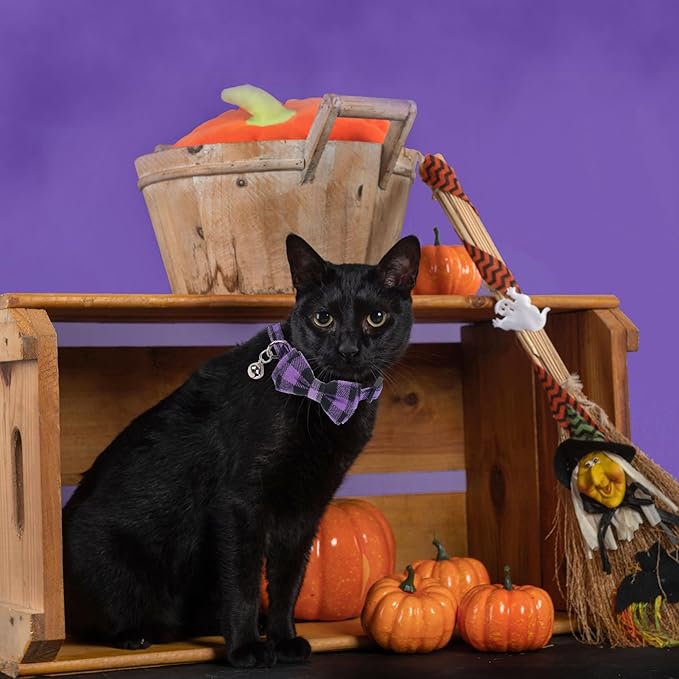 ADOGGYGO Halloween Cat Collars Breakaway with Removable Bowtie Bell, 2 Pack Orange Purple Plaid Halloween Bow Collar for Cats Kittens