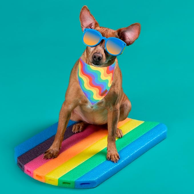 PTDECOR Rainbow Dog Bandanas Pride Day Dog Scarf Reversible Triangle LGBT+ Rainbow Bandanas for Extra Large Dogs Pets (Pride, X-Large)