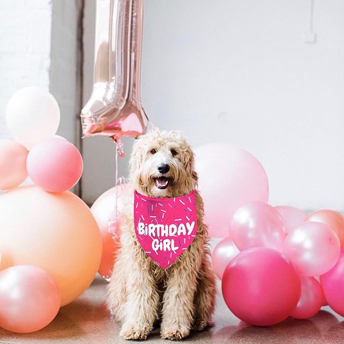 Birthday Girl Dog Bandanas 1 Pack, Pink Dog Scarfs for Puppy, Pet Scarves HBD Bandanas for Small Medium Large Dogs (Birthday Girl, One Size)