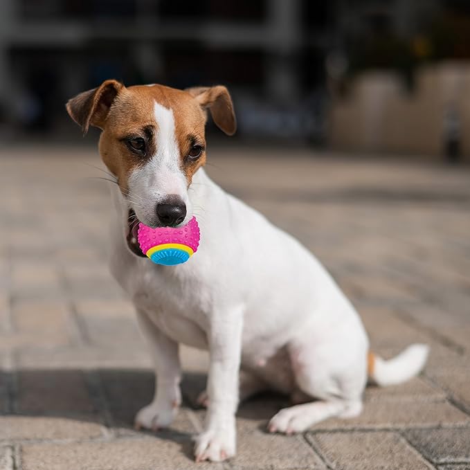 SPOT Sensory Ball for Soft Chewers - Stimulates All 5 Senses, Bell & Squeaker Sounds, Raised Nubs Clean Teeth, High Contrast Fetch Toy, Beef Scented, Durable TPR Rubber Ball, 2.5-inch