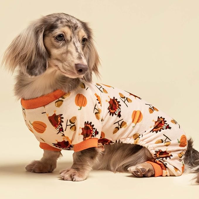 Fitwarm Thanksgiving Turkey Dog Pajamas, Funny Dog Winter Clothes for Small Dogs Girl Boy, Pet Jumpsuit, Cat Onesie with Feet, Lightweight Velvet, Orange, Medium