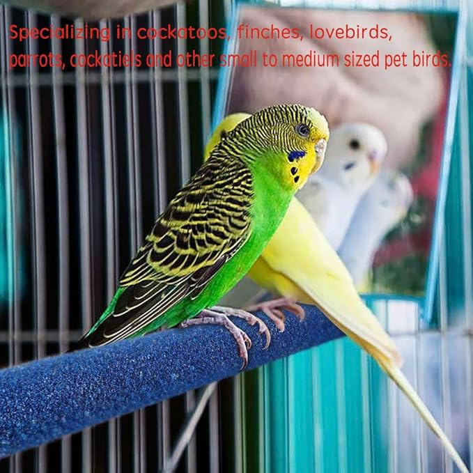 10 Pcs Parrot Perch Stand Bird Perch Stand Toy Colorful Paw Grinding Stick Cage Wooden Parakeet Perch Accessories for Cockatiels