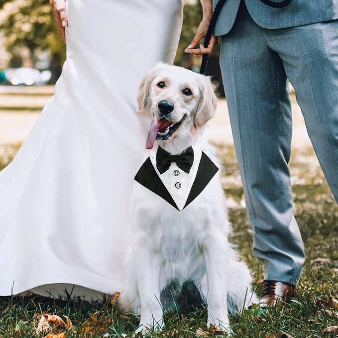 Segarty Formal Dog Tuxedo Bandana Dog Wedding Attire, Adjustable Collar with Bowtie, Pet Cats Tuxedo Bandana Necktie Collar for Medium Large Boy Pets Wedding Grooming Birthday Party Gift (L Black)