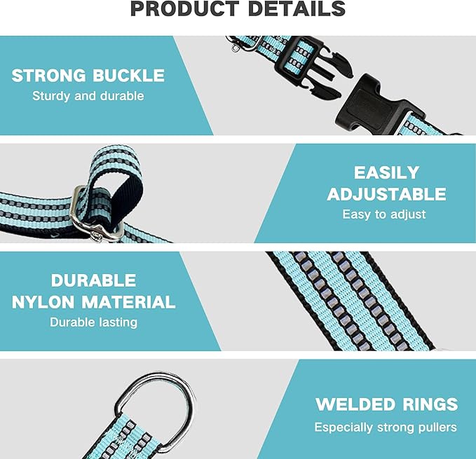 Hikiko Martingale Dog Collars Reflective Nylon Dog Collar with Quick Release Buckle Adjustable Training No Slip Dog Collar (Small, Sky Blue)
