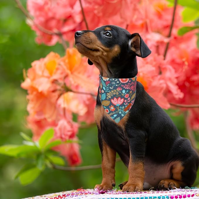 PTDECOR Flower Dog Bandana,2 Pcs Floral Reversible Dog Scarf, Multi Size, Triangle Pet Bandanas for Small Dogs (Flower, Small)